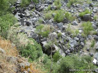 ndolito-24-05-2014 20-44-40
